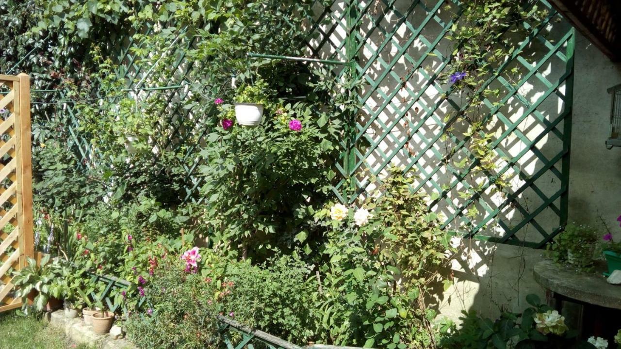 فندق Cluj Center 2 المظهر الخارجي الصورة